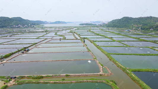 航拍視角下的淡水養殖全景 從大閘蟹到鱘魚，探秘千湖之色的生態漁業基地