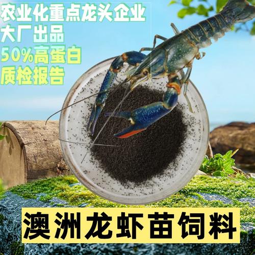 澳洲淡水龍蝦苗開(kāi)口料選擇指南 工廠化養(yǎng)殖專用下沉顆粒料，不渾水更高效